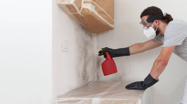 Professional Crawl Space Mold Remediation technician working in Dupont, CO
